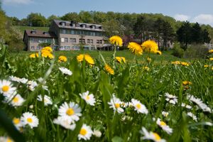 Aussicht auf den herzberg mit Blumenwiese